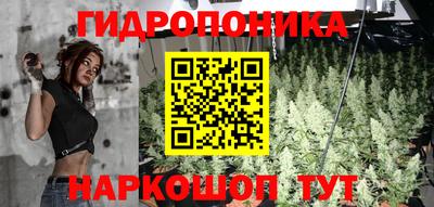 шишки Усть-Илимск