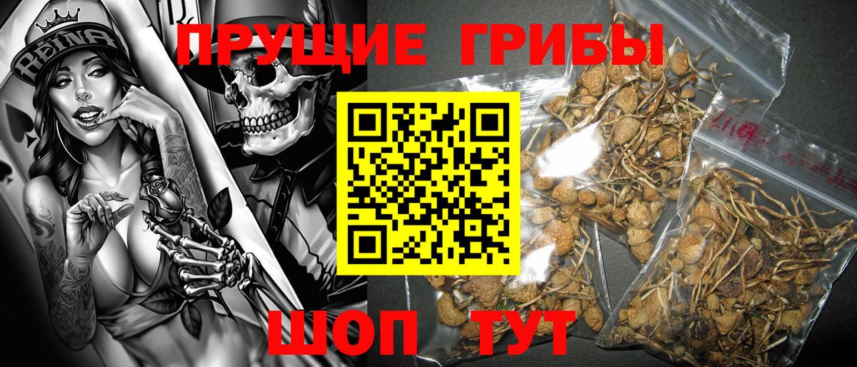 Псилоцибиновые грибы мухоморы Асбест
